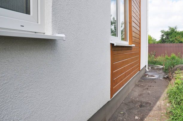 Best Siding Painting and Refinishing  in Carlyss, LA