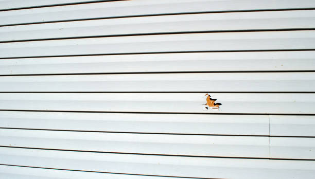 Best Insulated Siding Installation  in Carlyss, LA